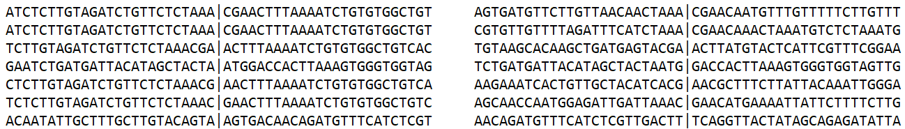Example format for nucleotide columns